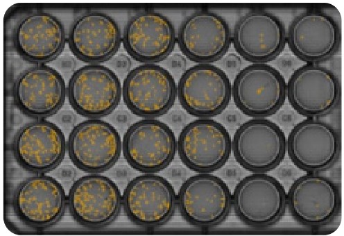 Omni Platform Brochure | Axion Biosystems